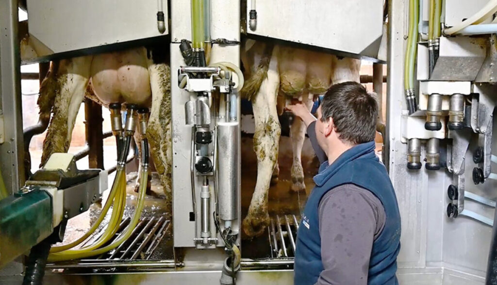 safe_manual_milking_in_robot