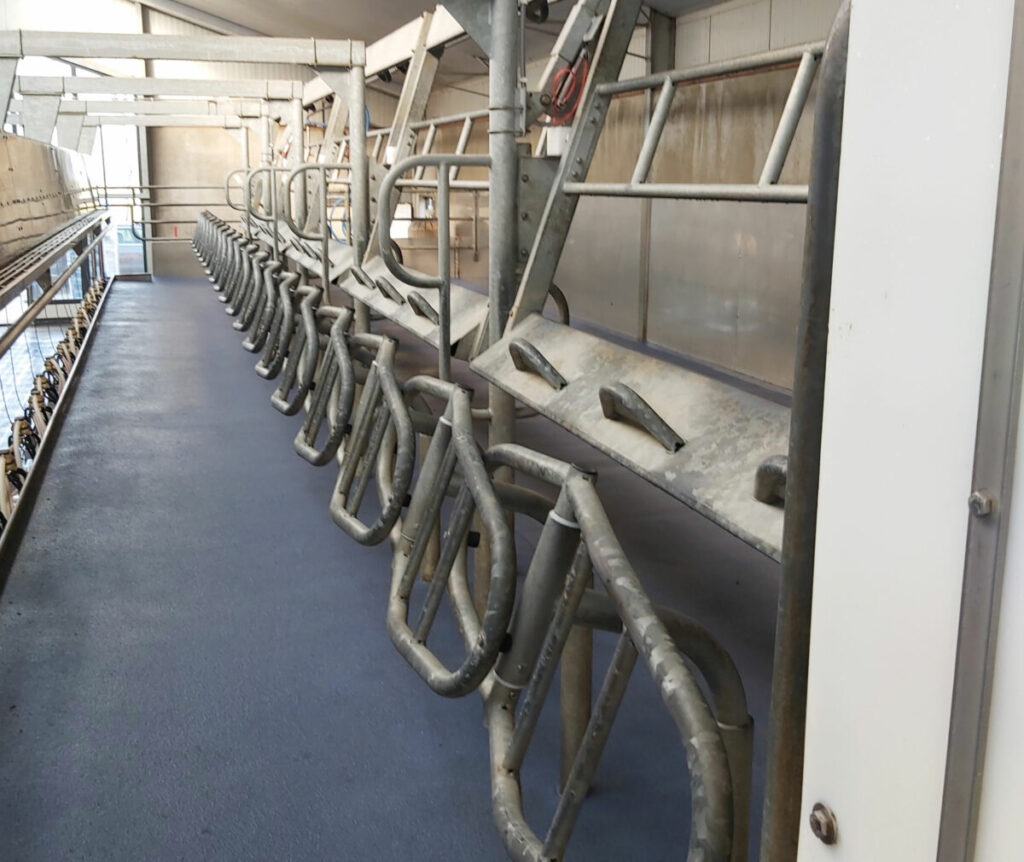 xpressway_30_confort_animal